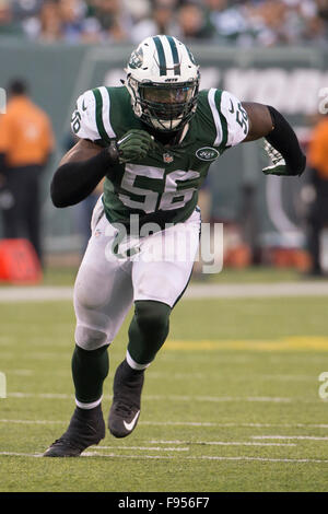 December 13, 2015, New York Jets inside linebacker Demario Davis (56) in action during the NFL game between the Tennessee Titans and the New York Jets at MetLife Stadium in East Rutherford, New Jersey. The New York Jets won 30-8. Christopher Szagola/CSM Stock Photo