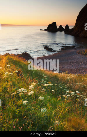 The coast near Dunnottar Castle at dawn - Aberdeenshire, Scotland. Stock Photo