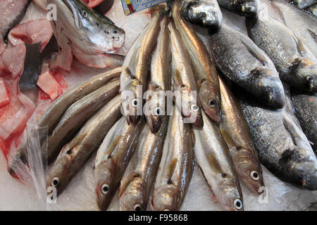 France, Bourgogne, Dijon, market, food, fish, Stock Photo