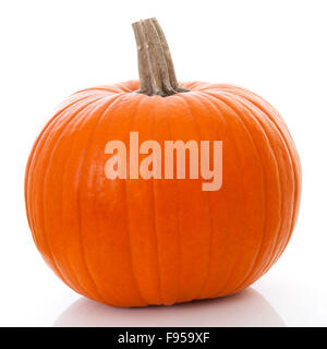 big orange pumpkin isolated on white background Stock Photo