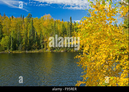 autumn, Dickens Lake, Northern  Saskatchewan, Canada Stock Photo