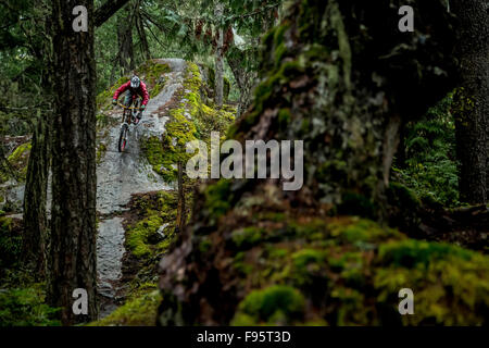 Mountain Biking, Lower yer Saddle, Whistler, British Columbia, Canada Stock Photo