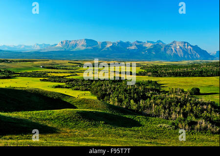 A summer landscape image showing the wide expanding view of Alberta ranchland running up to the base of the Rockey Mountains of Stock Photo
