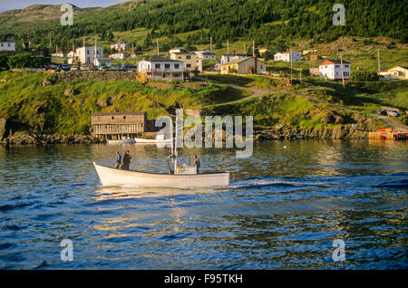 Fishing boat, Bay Bulls, Newfoundland, Canada Stock Photo