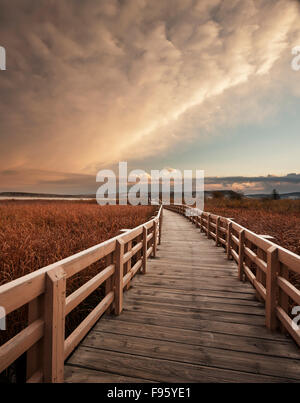 Elkwater Lake Boardwalk, Cypress Hills Interprovincial Park, Alberta, Canada Stock Photo