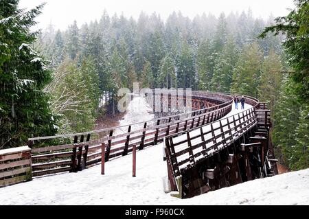 A couple walks in the snow on the Kinsol Trestle near Shawnigan Lake, BC. Stock Photo