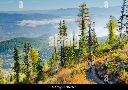 A male mountain biker rides high on the Red Top trail at Red Mountain Resort, in the Rossland Range near Rossland, British Stock Photo