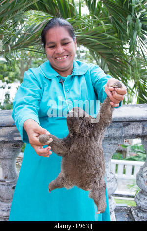 Woman holds a sloth, Iquitos, the largest city in the Peruvian rainforest and the fifthlargest city of Peru Stock Photo