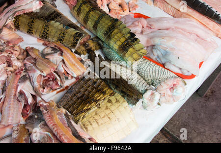 Market scenes, Iquitos, the largest city in the Peruvian rainforest and the fifthlargest city of Peru Stock Photo