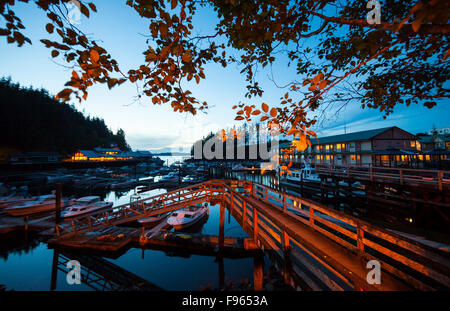 Night scenic of Telegraph Cove, framed by trees in the sky. Stock Photo