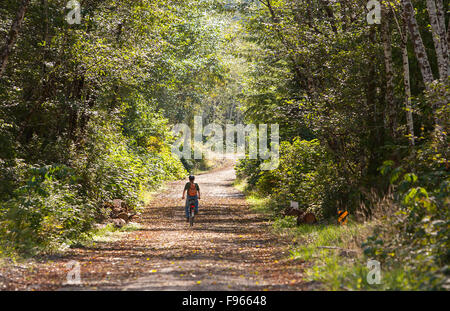 A lone biker rides along a sun dappled loggin road near Coal Harbour. Stock Photo