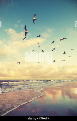 Vintage stylized flying birds above a beach at sunset. Stock Photo