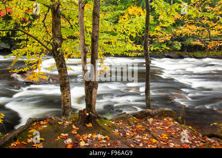 Oxtongue River rapids in autumn, near Dwight, Ontario, Canada Stock Photo