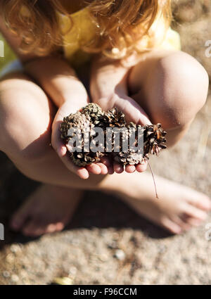 Close up of little girl's hands holding pine cones Stock Photo
