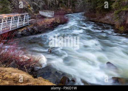 British Columbia, Canada,  Bridge Creek, Centennial Park,100 Mile House, Stock Photo