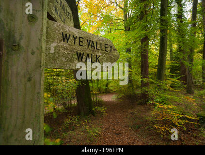 A wooden waymarker on the route of the Wye Valley Walk in autumn, above the village of Llandogo in Monmouthshire, Wales, UK. Stock Photo