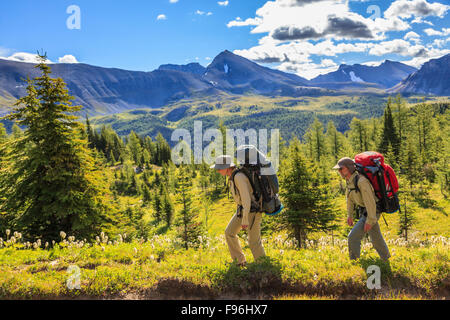 Two back packers hike the Citadel Pass trail from Sunshine Meadows along the Great Divide in Banff National Park, Alberta, Stock Photo