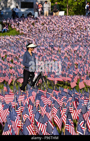 Every year, on Memorial Day, the Massachusetts Military Heroes Fund plants around 37,000 American flags at the foot of the Stock Photo