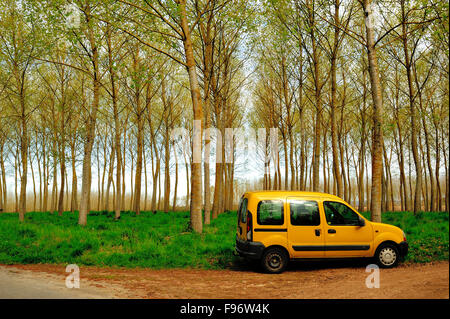 car parked beside poplar, populus spp., forest near Castillones, LotetGaronne Department, Aquitaine, France Stock Photo