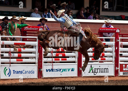 Rodeo, 2015 Calgary Stampede, Calgary, Alberta, Canada. Stock Photo