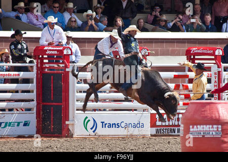 Rodeo, 2015 Calgary Stampede, Calgary, Alberta, Canada. Stock Photo