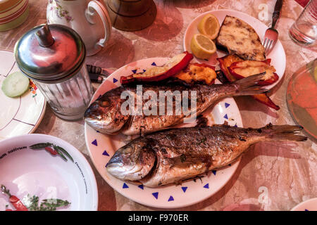 Grilled Sea Beam in plate dorado fish meal Stock Photo