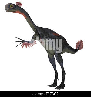 Gigantoraptor was a theropod dinosaur that lived in Inner Mongolia, China in the Cretaceous Period. Stock Photo