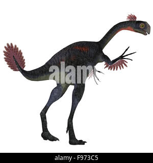 Gigantoraptor was a theropod dinosaur that lived in Inner Mongolia, China in the Cretaceous Period. Stock Photo