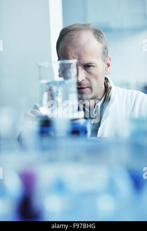 research and  science doctor student  people  in bright labaratory representing chemistry education and medicine concept Stock Photo