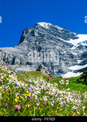 Eiger, Switzerland. One of amazing mountain peaks in Berner Oberland part of European Alps, main landmark of Swiss Confederation Stock Photo