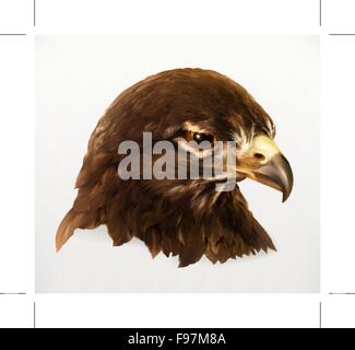 Eagle head, realistic vector illustration Stock Vector