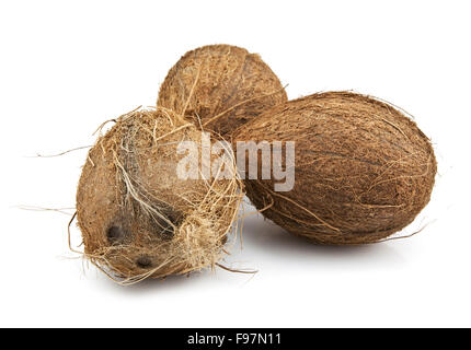 Coconuts on a white background Stock Photo