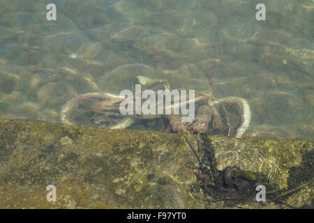 High Angle View Of Rusty Old Bicycle In Lake