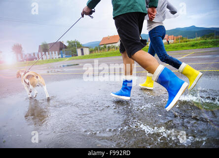 Couple walk dog in rain. Details of wellies splashing in puddles. Stock Photo