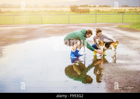 Beagle wellies clearance