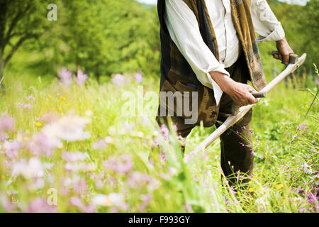 Close up of senior farmer using scythe to mow the lawn traditionally Stock Photo