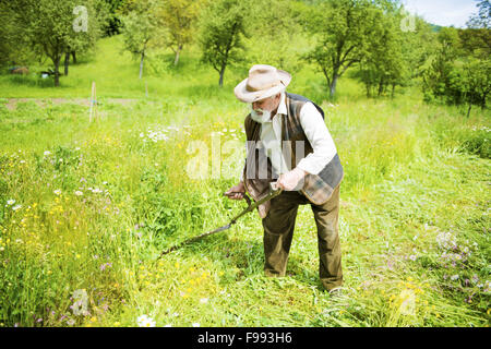 Old farmer with beard using scythe to mow the grass traditionally Stock Photo