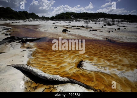 Tannin water in feeder creeks to Lake Boomanjin,  Fraser Island, Australia. Stock Photo