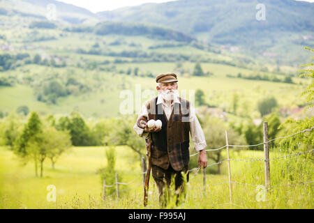 Old farmer with beard is walking in meadow Stock Photo