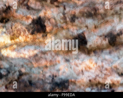 Paper texture. Stock Photo