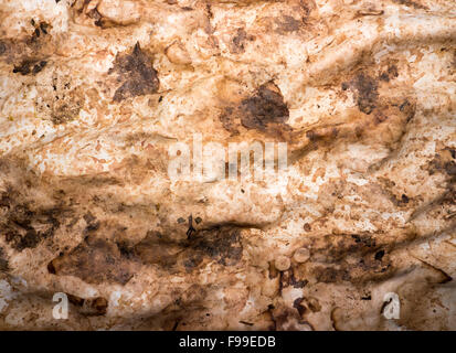 Paper texture. Stock Photo