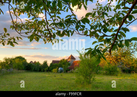 View across an orchard of traditional Quercy farmhouses, in evening light. Causse de Gramat, Massif Central, Lot region, France. Stock Photo