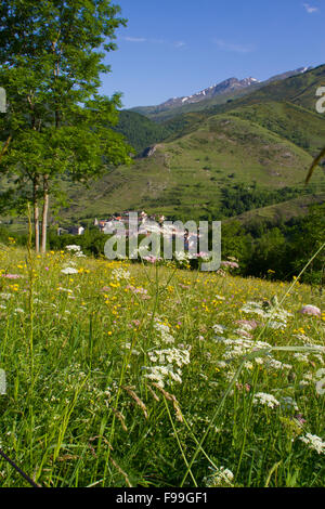View across a traditional hay meadow to the mountain village of Cassou. Ariege Pyrenees, France. May. June. Stock Photo