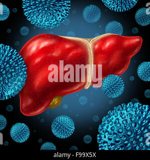 Liver infection as a human liver infected by the hepatitis virus as a medical concept for the viral disease causing inflammation symptoms. Stock Photo