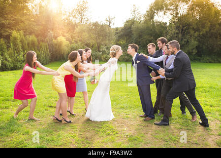 Funny portrait of newlywed couple kissing, bridesmaids and groomsmen pulling them away in green sunny park Stock Photo