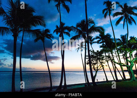 Stunning beaches with clear skies, sandy beaches and palm trees on the island of Fiji in the South Pacific. Stock Photo
