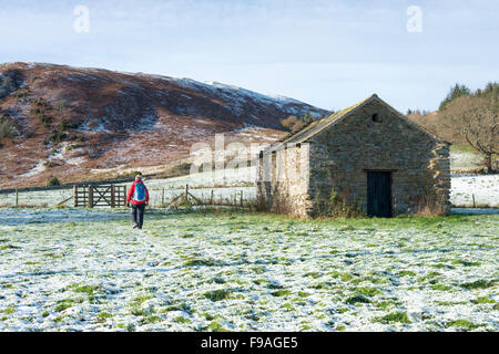 A woman wearing a red anorak walking in a snow covered field in winter by a barn in Cumbria the Lake District Uk Stock Photo