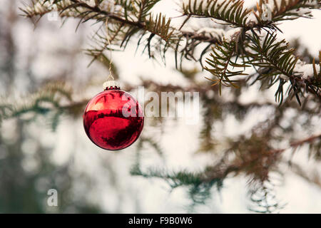 red christmas ball hanging from a branch Stock Photo