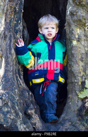 Young boy inside a tree Stock Photo