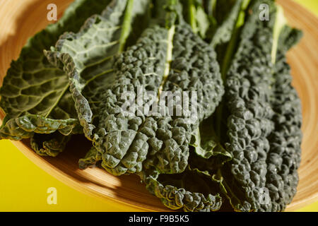 Black Cabbage, also called Tuscan Kale Stock Photo